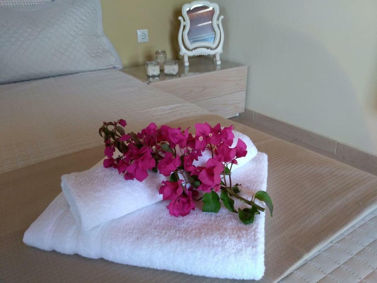 New Country House Salvia سيتيا المظهر الخارجي الصورة