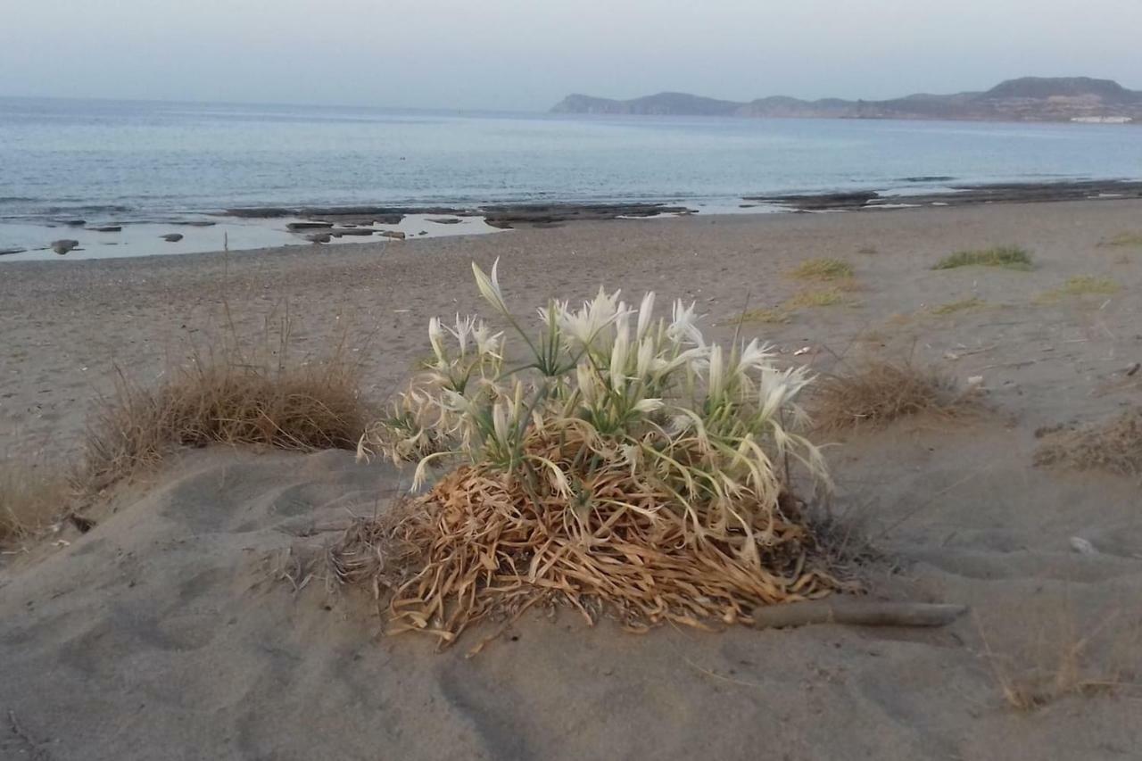 New Country House Salvia سيتيا المظهر الخارجي الصورة