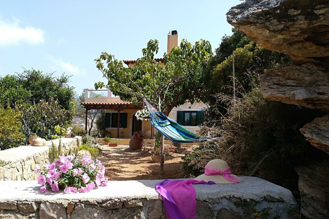 New Country House Salvia سيتيا المظهر الخارجي الصورة