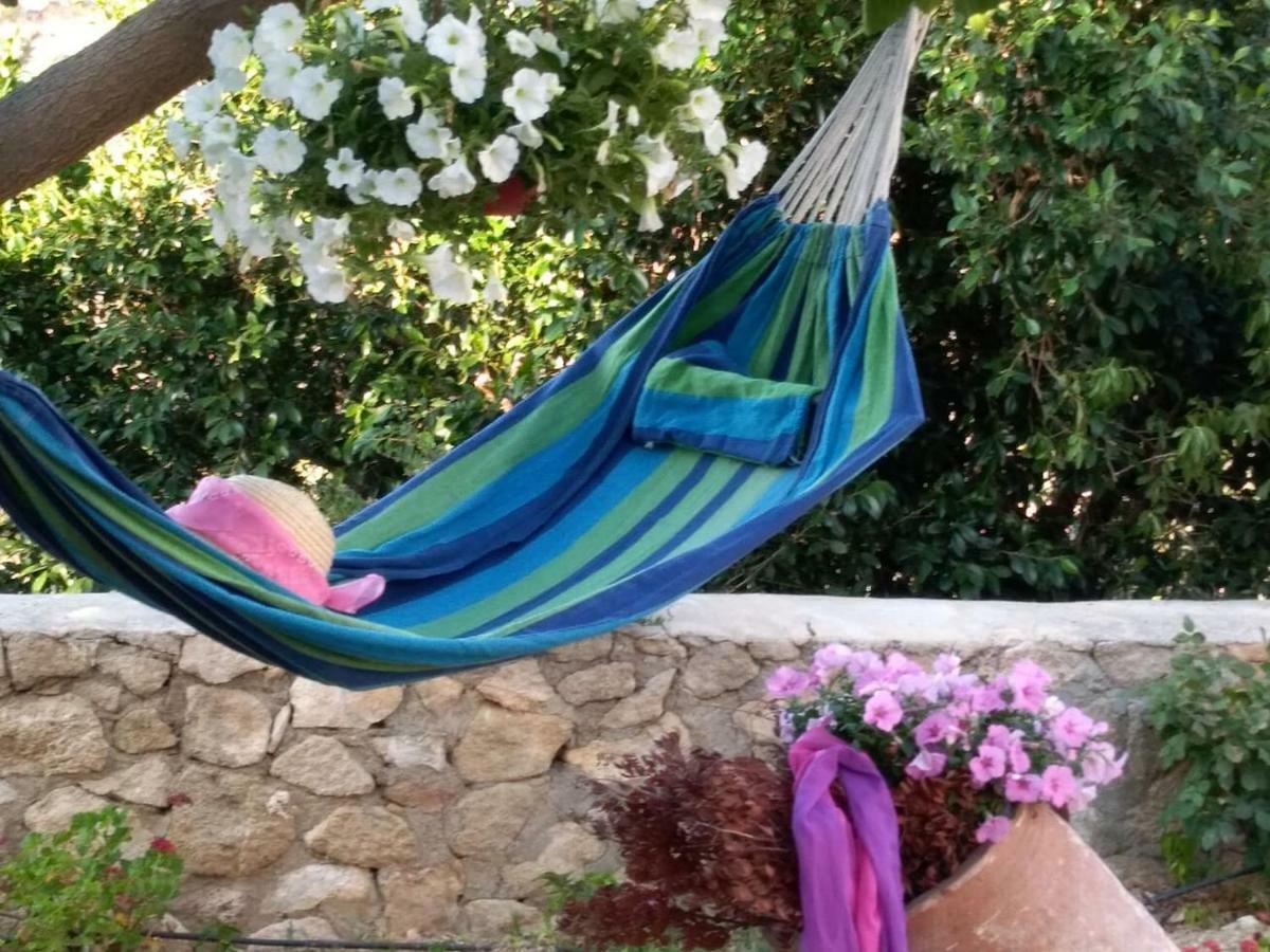 New Country House Salvia سيتيا المظهر الخارجي الصورة