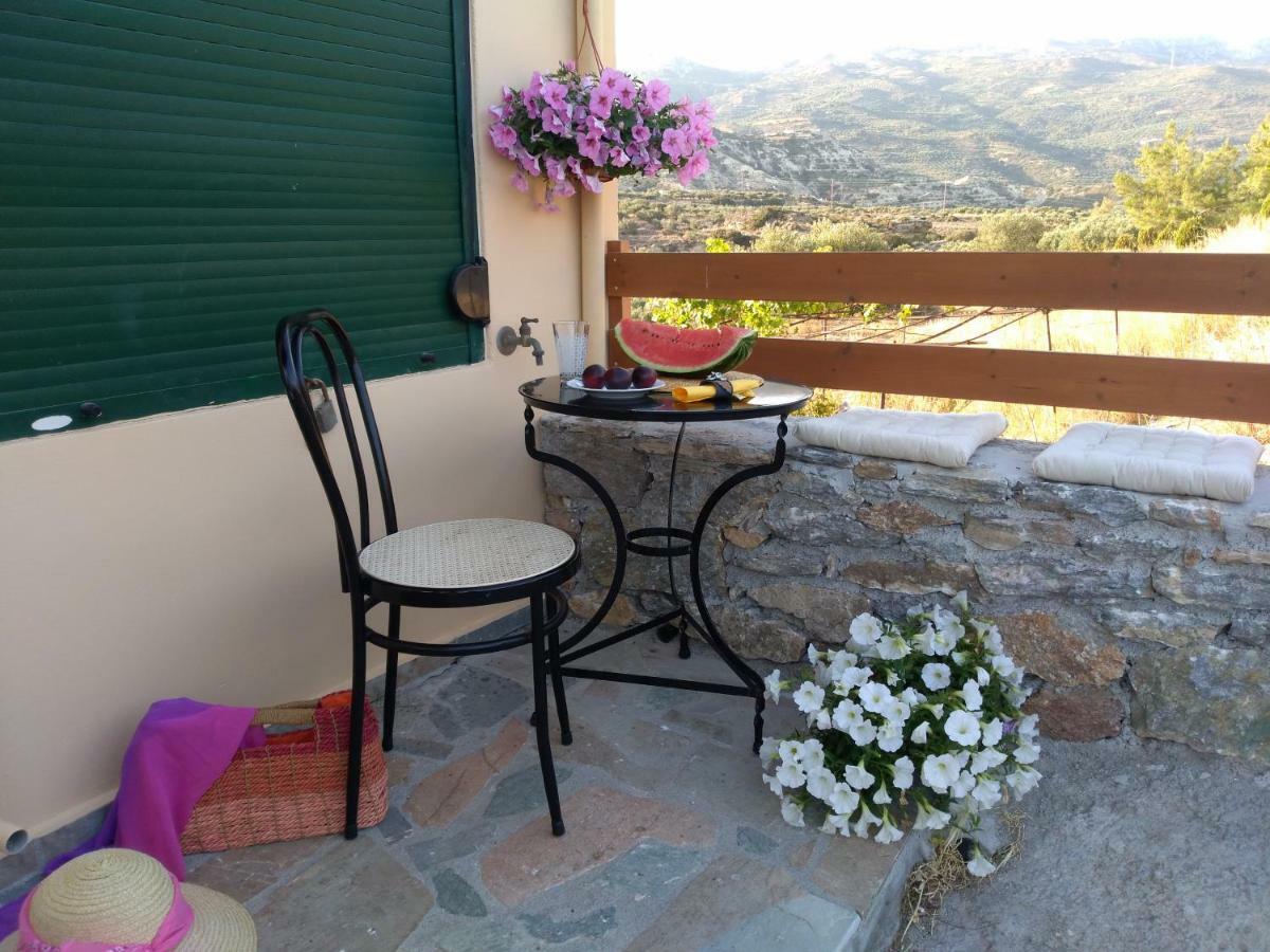 New Country House Salvia سيتيا المظهر الخارجي الصورة